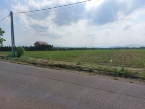 Teren extravilan de vanzare - imagine 3