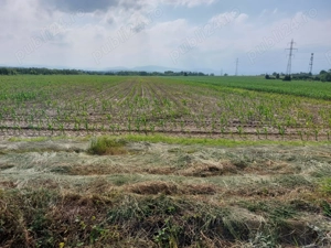 Teren extravilan de vanzare