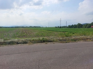 Teren extravilan de vanzare - imagine 4