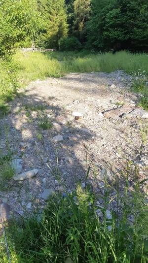 Teren de vanzare in Campeni( Vadu-Motilor)