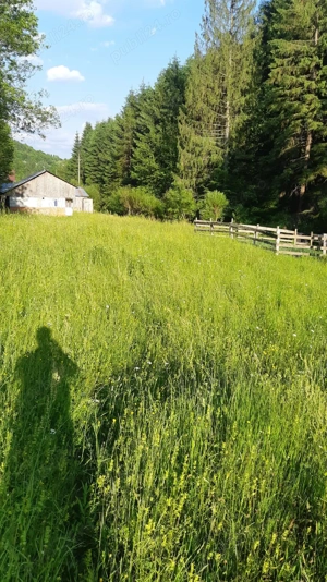 Teren de vanzare in Campeni( Vadu-Motilor) - imagine 2