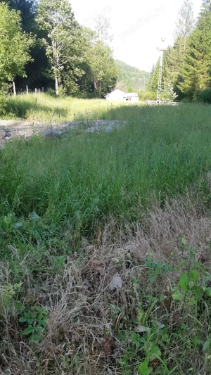 Teren de vanzare in Campeni( Vadu-Motilor) - imagine 3