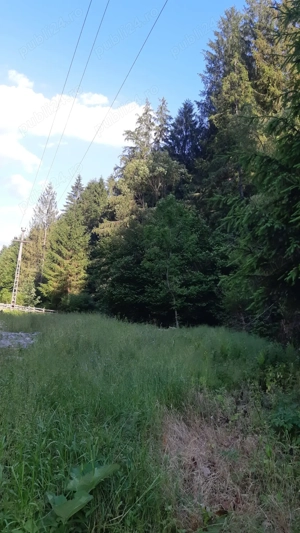 Teren de vanzare in Campeni( Vadu-Motilor) - imagine 4