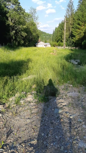 Teren de vanzare in Campeni( Vadu-Motilor) - imagine 5