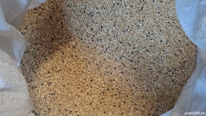 seminte mei pentru papagali  - imagine 2