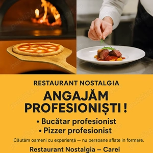 Restaurant Nostalgia din Carei   Angajăm Profesioniști!