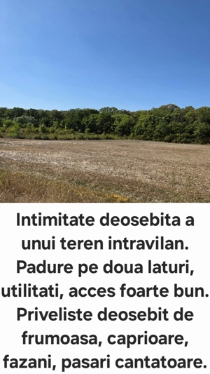 Teren intravilan unic, zona noua langa padure, Bucuresti si Ilfov, oportunitate investitie
