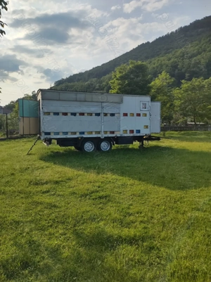 Vând remorca 2 axe tandem, sau stupi cu albine