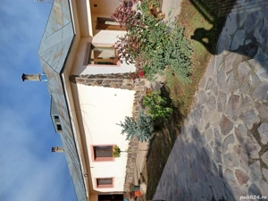 Vand casa Draganesti Jud Galați , 160m, teren 1750m cu livada de pruni și alte specii . - imagine 20