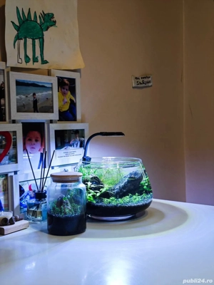 întreținere și consiliere la doar 1 leu litru - imagine 3 întreținere și consiliere la doar 1 leu litru - imagine 3