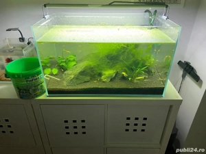 întreținere și consiliere la doar 1 leu litru - imagine 2 întreținere și consiliere la doar 1 leu litru - imagine 2