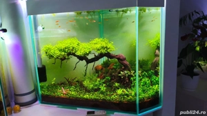 întreținere și consiliere la doar 1 leu litru - imagine 4 întreținere și consiliere la doar 1 leu litru - imagine 4