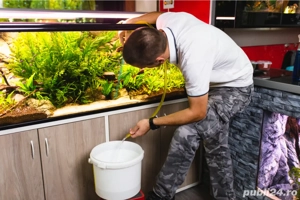 întreținere și consiliere la doar 1 leu litru - imagine 5 întreținere și consiliere la doar 1 leu litru - imagine 5