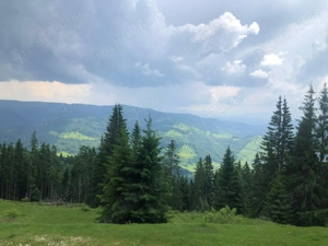 Vand teren intravilan Valea Blaznei - imagine 3