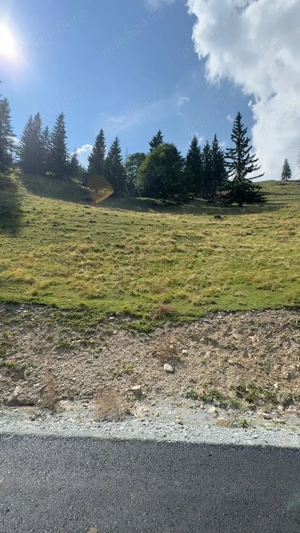 Vand teren intravilan Valea Blaznei - imagine 7