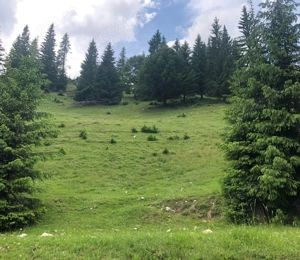 Vand teren intravilan Valea Blaznei - imagine 2