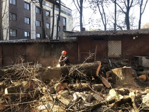 Profesioniști toaletam defrisam arbori !!! - imagine 5