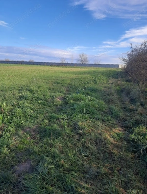 Teren in Parta de vanzare