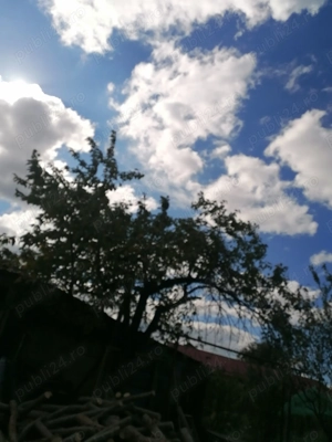 Ingrijire persoane varsnice la domiciliu 