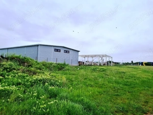 Vanzare Teren Industrial  3000mp Magurele  - imagine 3