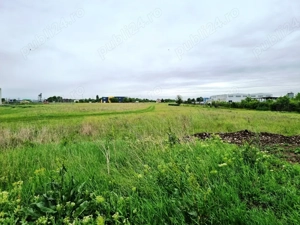 Vanzare Teren Industrial  3000mp Magurele  - imagine 7