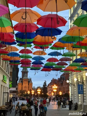 Apartament deosebit in inima Timisoarei  - imagine 10