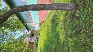 Casa cu teren aferent - imagine 5