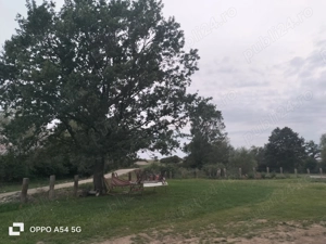 Teren de vânzare +fundație 10 10m - imagine 3 Teren de vânzare +fundație 10 10m - imagine 3