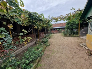 Sosdea 2 Case cu Teren 4657 Mp. - imagine 2