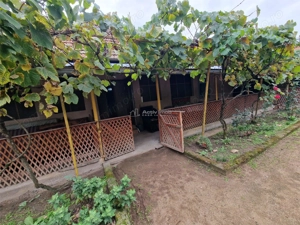 Sosdea 2 Case cu Teren 4657 Mp. - imagine 18