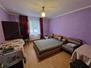 Sosdea 2 Case cu Teren 4657 Mp. - imagine 6