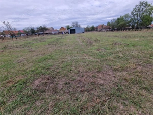 Sosdea 2 Case cu Teren 4657 Mp. - imagine 5