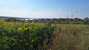 Vand teren intravilan, 5000 mp, Iasi, Rediu, Podisul Beldiman - imagine 6