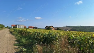 Vand teren intravilan, 5000 mp, Iasi, Rediu, Podisul Beldiman - imagine 9