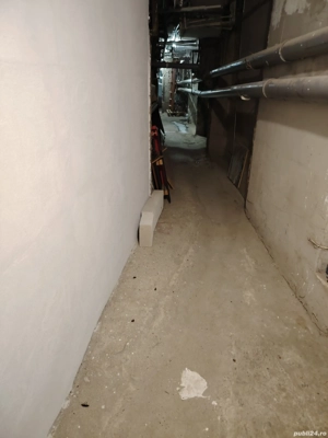 Dezinsecție și deratizare  - imagine 4