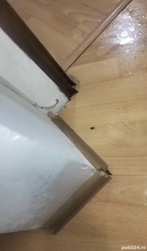 Dezinsecție și deratizare  - imagine 3