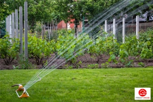 Casa noua 2 nivele cu 889 mp teren, drumul Taberei, Bucuresti - imagine 8