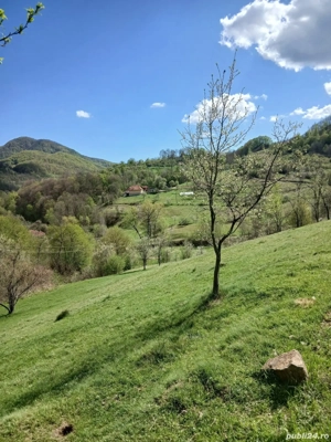 casa de vânzare  - imagine 4