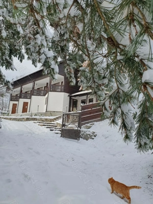 Cabana la munte de Craciun - imagine 4 Cabana la munte de Craciun - imagine 4