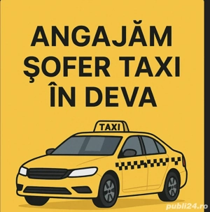 sofer taxi 