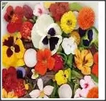 seminte flori frunze comestibile:panselute, craite,coltunasi, albastrele, galbenele, margaerete etc