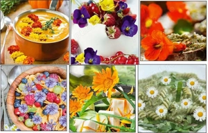 seminte flori frunze comestibile:panselute, craite,coltunasi, albastrele, galbenele, margaerete etc - imagine 3