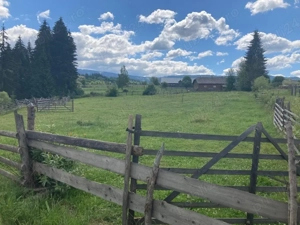 Teren la munte, Vatra Dornei, intravilan - imagine 3