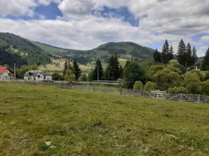 Teren la munte, Vatra Dornei, intravilan - imagine 8