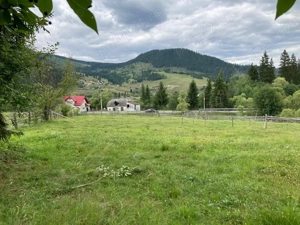 Teren la munte, Vatra Dornei, intravilan - imagine 5