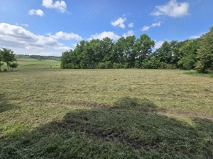 Teren intravilan deosebit - Roma, Botosani