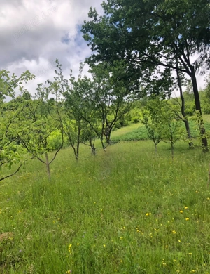 Vând 2 terenuri intravilane   zonă superbă, Botiza (Maramureș)