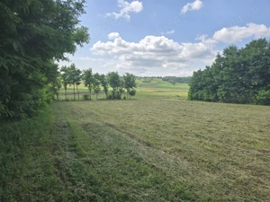 Teren intravilan deosebit - Roma, Botosani - imagine 3