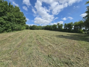 Teren intravilan deosebit - Roma, Botosani - imagine 6