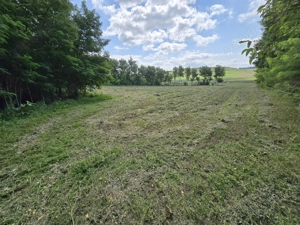 Teren intravilan deosebit - Roma, Botosani - imagine 7